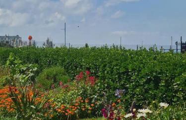 Luxury, Spacious 3 Bedroom, Beachfront Apt with Parking & Courtyard - Shoreside - Foto 25