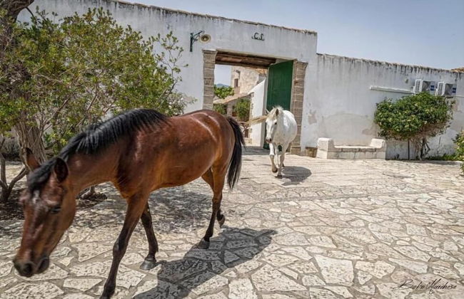 Fattoria Manostalla Villa Chiarelli - Foto 79
