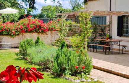 Locazione turistica nel verde Civita di Bagnoregio - Foto 51