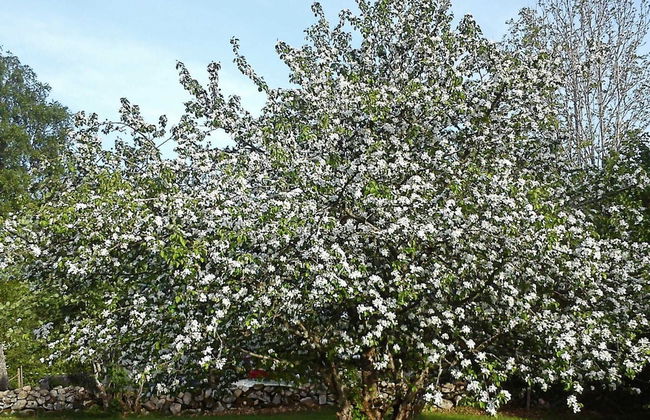 4 Person Holiday Home in Romelanda-by Traum - Foto 3