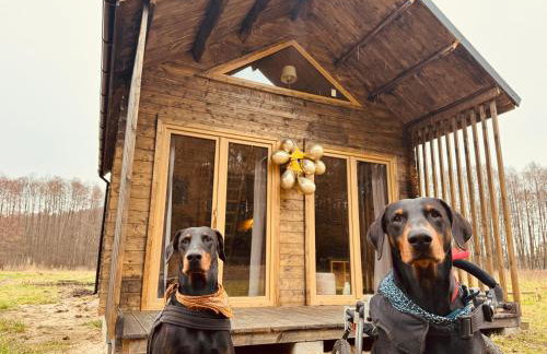 aResowa Wioska - Foto 13