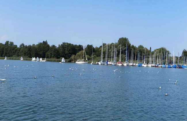 Dennenboomdroom - Photo 32