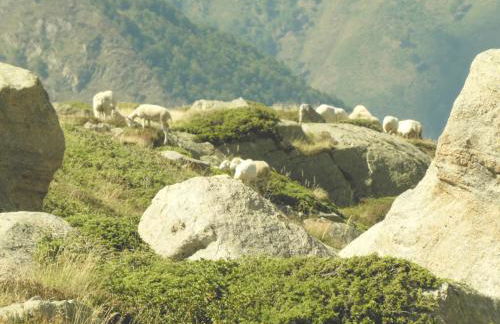 Pleine nature Pied pistes Piscine chauffée - Foto 44