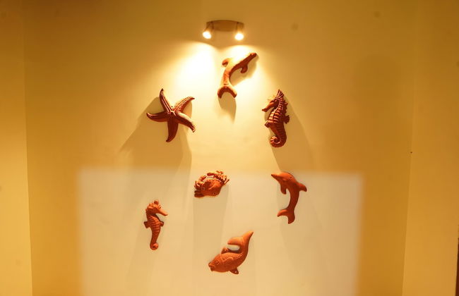 Indira Farms - Foto 8