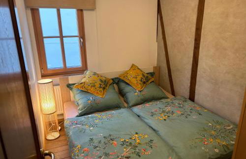 Ferienhaus Ausonius - Foto 18