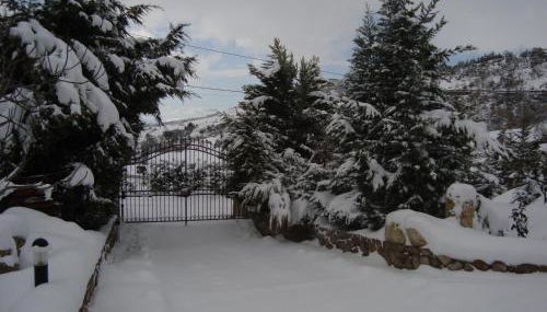 Residence Lithos - Foto 1, Garden