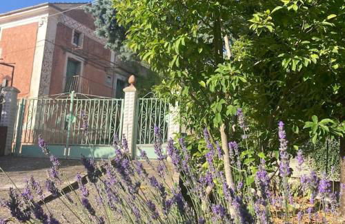 Casa Sisù-Appartamento immerso negli ulivi - Foto 20