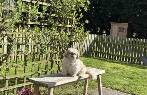 Cottage - Sleep 4 Pet Friendly & Enclosed Garden - Foto 16