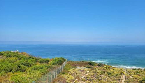 Nazare Uninterrupted Views and Sounds of the Sea - Foto 3, Garden view