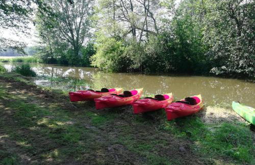 Agroturystyka domki nad rzeką Bałtów kajaki rowery klima basen ryby full - Foto 28
