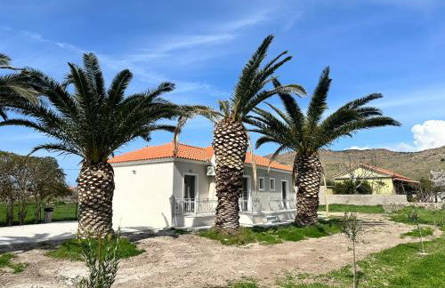 Ktimavita Apartment 2 - Photo 3