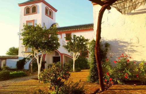 Cortijo El Triguero N-398 Ctra Carmona – El Viso del Alcor Km 18 - Foto 4