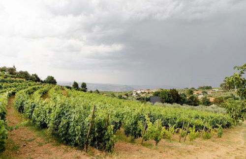 Casa das Nogueiras - Foto 61