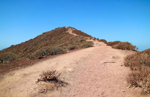 Refreshing Oasis - Foto 61