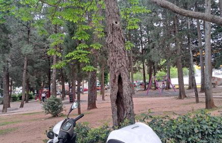 Lorena Apartment Dubrovnik - Foto 18