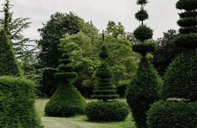CRESSY HALL - Historic Grade II Listed Manor, Gorgeous Topiary Garden - Foto 40