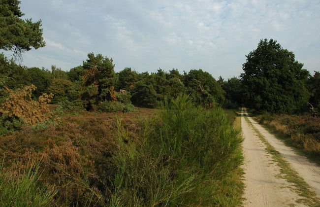 Beautiful Holiday Home With Spacious Garden - Photo 37