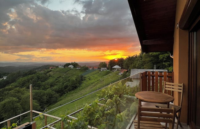 Vineyard cottage Soncni gric - Foto 18