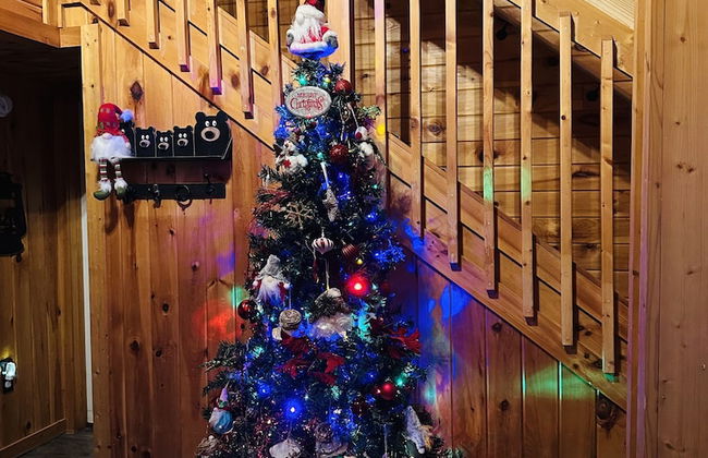 Bearly Gnomey - Foto 6