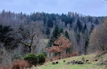 Dom w górach Zacisze lasu - Foto 37