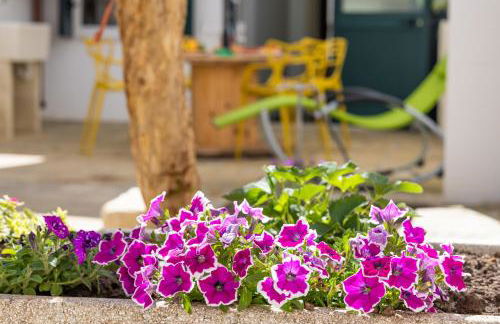 Le Site - Un' Esperienza Autentica nel Salento - Foto 30