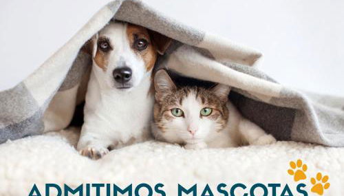 Casa Obregón Cabárceno 3000 - Foto 5