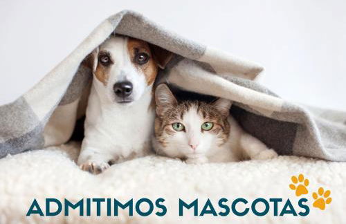 Apartamentos Zaragoza Suites El Pilar 3000 - Foto 7