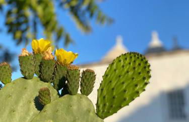 Trulli della Chiesetta - Foto 22