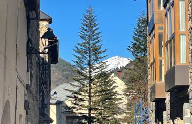 CALMFRANC ático abuhardillado con vistas al río y la montaña Avistamiento de ciervos en Canfranc Pueblo - Foto 47