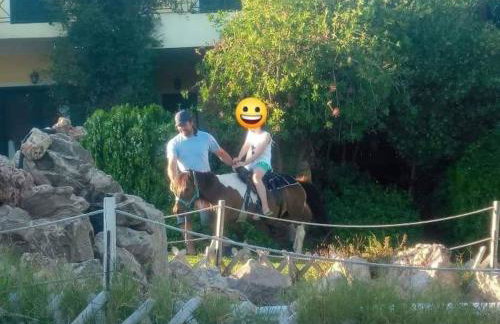 Ktima Nikola - Foto 72