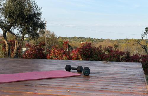 Trulli Fichi Luxury Trullo with Private Spa and Saltwater Pool - Photo 7