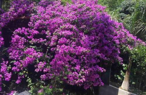 Chacara com Piscina Aquecida - Foto 43