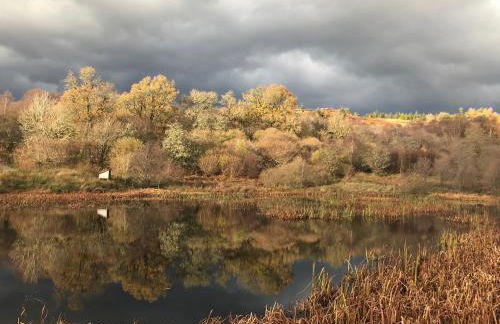 Wild Nurture Eco Luxury Offgrid Log Cabin - Foto 50