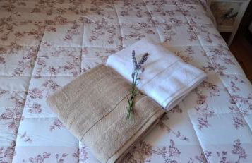 Casa Daniel - Foto 50