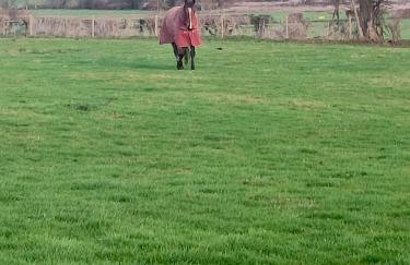 Countryside 2 Bed Bungalow with Stunning Views Free WiFi and Parking Ideal for Business and Leisure - Photo 6