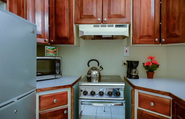 SandCastles Deluxe Beach Resort - Foto 31