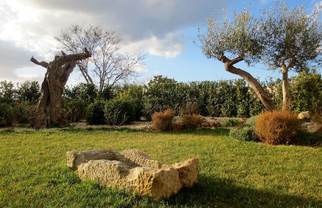 Masseria Corte Masseriola - Foto 42