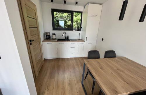 Szklane Domki Ińsko - Foto 10