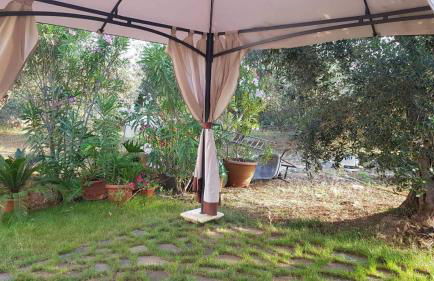 Salentiggiano Villa Ulivi Vacanze Con Piscina 8/16 PL - Foto 60