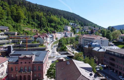 Schwarzwaldnest - Foto 25