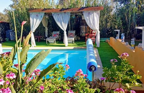 Tiny House Koala Valdareina, PISCINE CHAUFFEE, Bénagil-Carvoeiro - Photo 1