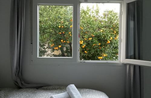 corazón de jerez edificio de 1861 - Foto 7