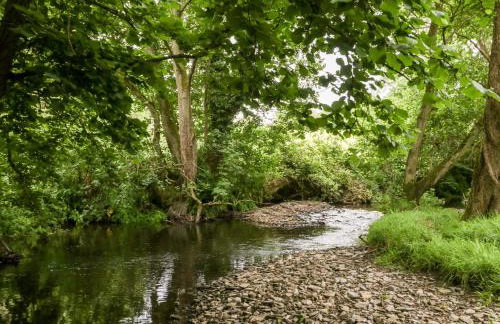 Halls Mill - Foto 45