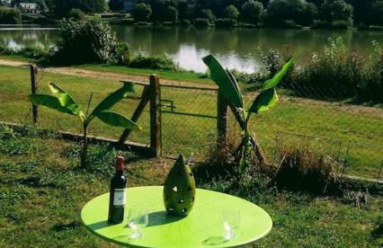 Maison face à l'étang - Foto 6