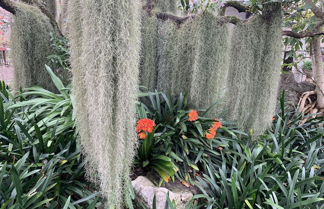 Birds Babble Self Catering Guest House - Foto 7