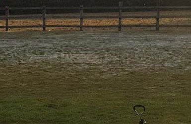 Wheal Rock - Luxury 2 Bed Lodge - Foto 25