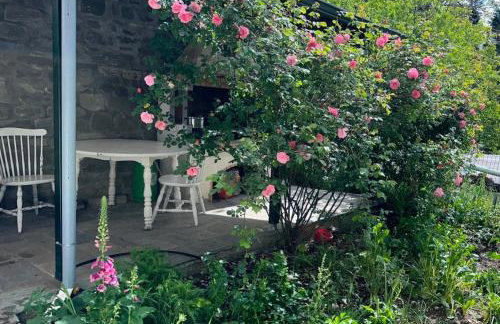 Forest cottage top of the world - Foto 50