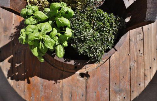 Pet and Breakfast Pet Friendly Country House - Foto 23