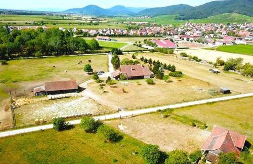 L'Etoile du Vignoble Meublé de Tourisme 4 étoiles au cœur d'un ranch alsacien sur la route des Vins - Climatisé - Foto 1