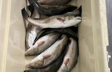 Tranquil Glamping near the Coast: Charming Rustic Cabin Rental in Midway, Georgia - Foto 12